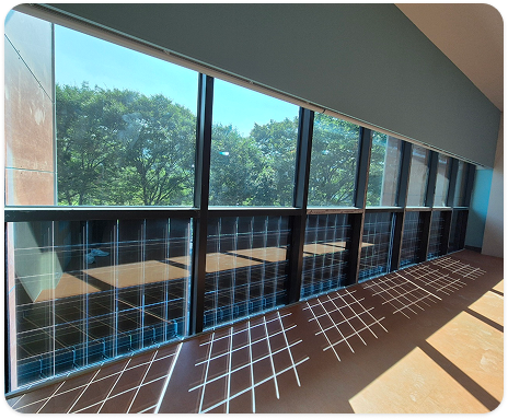 windowbipv1